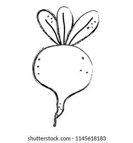 grunge fresh onion healthy organic vegetable