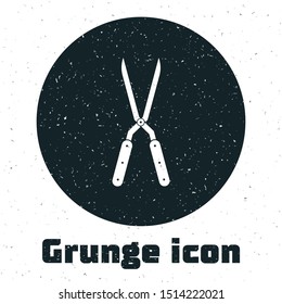 Grunge Gardening handmade scissors for trimming icon isolated on white background. Pruning shears with wooden handles.  Vector Illustration