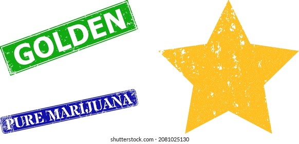 Grunge gold star icon and rectangle rubber Golden stamp. Vector green Golden and blue Pure Marijuana watermarks with unclean rubber texture, designed for gold star illustration.