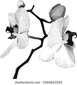 Grunge-Getreide-Orchidee mit einem Xerox- oder körnigen Fotokopieeffekt. Gepunktete Blume mit Halbton-Stipple-Effekt für Gothic-Collage-Design. Vektorillustration.	