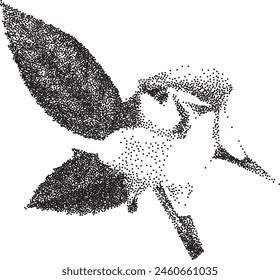 Grunge grain rose with a xerox or grainy photocopy effect. Dotted flower with halftone stipple effect for gothic collage design. Vector illustration.	