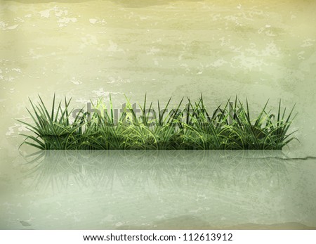 Grunge Grass