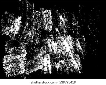 Grunge grid texture. Abstract template dot background. Vector print illustration