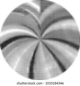 Grunge halftone black and white dots texture background. Spotted vector Abstract Texture
