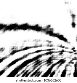Grunge halftone black and white dots texture background. Spotted vector Abstract Texture
