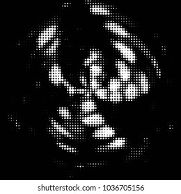 Grunge halftone black and white dots texture background. Spotted vector Abstract Texture
