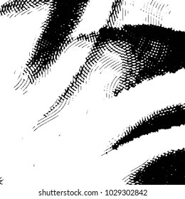 Grunge halftone black and white line texture background. Abstract stripe vector illustration Texture
