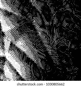 Grunge halftone black and white line texture background. Abstract stripe vector illustration Texture

