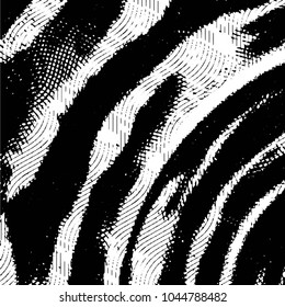 Grunge halftone black and white line texture background. Abstract stripe vector illustration Texture
