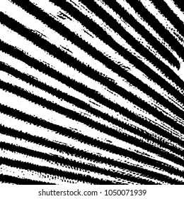 Grunge halftone black and white line texture background. Abstract stripe vector illustration Texture

