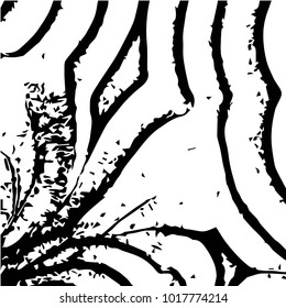 Grunge halftone black and white texture background. Abstract vector Texture
