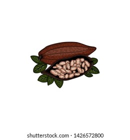 Grunge – hand drawn branch with cocoa bean on a vintage paper background. cacao hand drawing