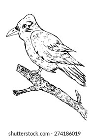 Grunge hand drawn illustration of a big crow sitting on a branch.