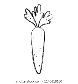 grunge healthy carrot organic vegetable ingredient