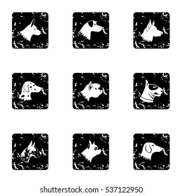 Grunge illustration of 9 types of dogs vector icons for web
