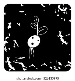 Grunge illustration of beet vector icon for web