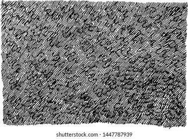 Grunge ink hand drawn texture. Black and white background for design. Street art style. Scratch line art. Vector illustration.