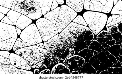 Grunge intertwined texture, threads, lines, wire, veins, monochrome. Grunge old detailed black white texture. Vector background
