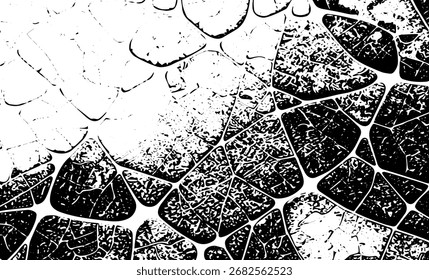 Grunge intertwined texture, threads, lines, wire, veins, monochrome. Grunge old detailed black white texture. Vector background
