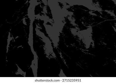 Grunge intertwined texture, threads, lines, wire, veins, monochrome. Grunge old detailed black texture. Vector background