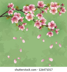 Grunge Japanese background green with sakura blossom -  cherry tree. Greeting or invitation card. Vector illustration