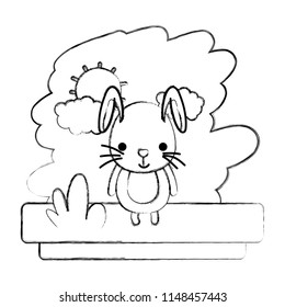 grunge kawaii rabbit cute wild animal