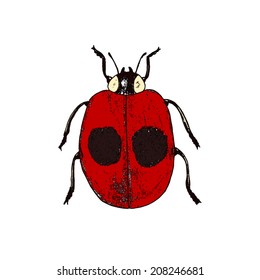 grunge ladybird isolated on white vector illustration