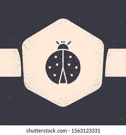 Grunge Ladybug icon isolated on grey background. Monochrome vintage drawing. Vector Illustration