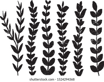 Grunge laurel branches. Plants and branches with leaves. Vector Distressed Texture. Blank Shapes. Vector Illustration. Wreaths isolated on white. EPS10.