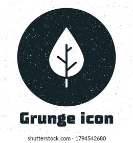 Icono de la hoja gruesa aislado en fondo blanco. Símbolo de producto natural fresco. Dibujo vintage monocromo. Vector