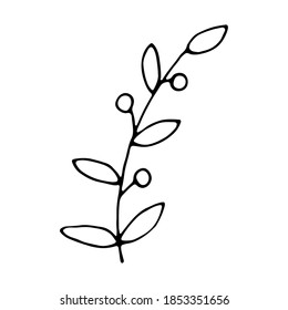grunge leaf isolated on white. Floral sketch. Social media story floral element