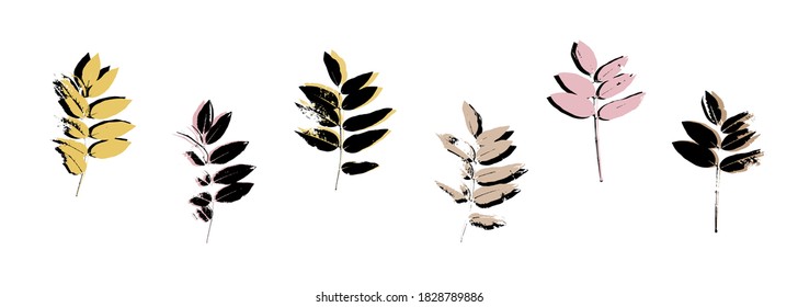 Grunge leaves set. Abstract foliage. Autumn leaves pastel colors collection. Sophora tree leaf. Sophora japonica foliage.