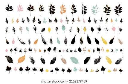 Grunge leaves set. Abstract foliage. Autumn leaves pastel colors collection. Black currant bush leaf. Sophora, cherry, apricot, walnut tree leaves.