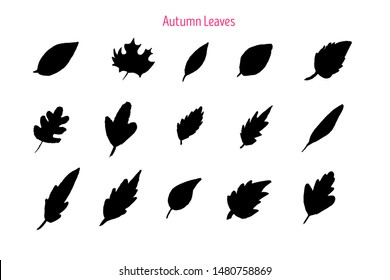 Grunge leaves set, simple graphic stain badge, leaf plant texture