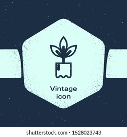 Grunge line Plant in bottle icon isolated on blue background. Seed and seedling. Leaves sign. Leaf nature. Monochrome vintage drawing. Vector Illustration