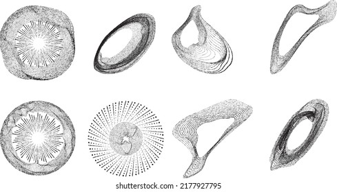 Grunge lines with rough edges  in Circle Form . Spiral Vector Illustration .Textured round Logo . Design element . Abstract Geometric circular shapes .Rotating grunge radial line. Concentric circles