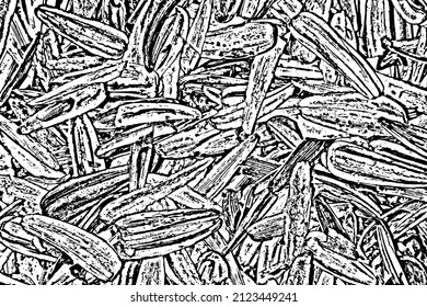 Grunge macro texture of sunflower seed husks. Overlay template. Vector illustration