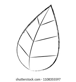 grunge nature and exotic leaf of botany plant