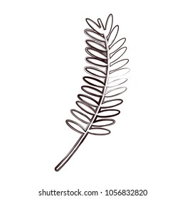 grunge nature plant leaves branch design