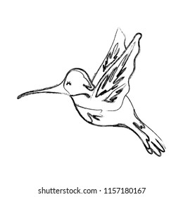 grunge nice exotic bird animal flying