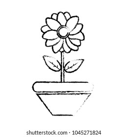 grunge nice flower with petals and leaves inside plantpot