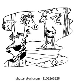 grunge nice giraffes and birds wild animal in the forest