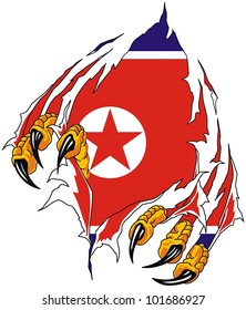 grunge North Korea flag