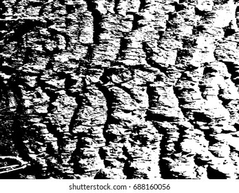 Grunge old wood black cover template. Wooden dry planks diagonal distressed overlay texture with knot. Weathered rural grainy timber backdrop. Aged dried board creative element.
