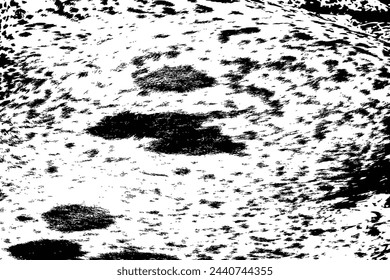 Grunge overlay of abstract pattern with black and white spotted cowhide. Cow fur or hair on skin real texture. Cattle farm.