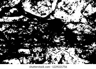 Grunge overlay layer. Abstract black and white vector background. Monochrome vintage surface with dirty pattern in cracks, spots, dots. Old wall in dark horror style design