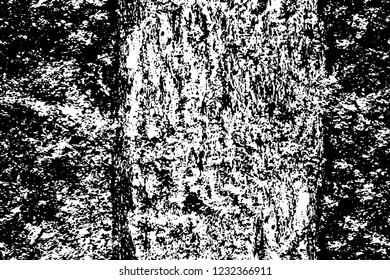 Grunge overlay layer. Abstract black and white vector background. Monochrome vintage surface with dirty pattern in cracks, spots, dots. Old wall in dark horror style design