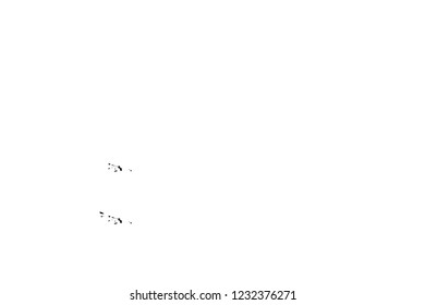 Grunge overlay layer. Abstract black and white vector background. Monochrome vintage surface with dirty pattern in cracks, spots, dots. Old wall in dark horror style design