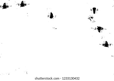 Grunge overlay layer. Abstract black and white vector background. Monochrome vintage surface with dirty pattern in cracks, spots, dots. Old wall in dark horror style design