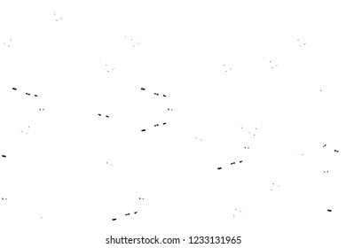 Grunge overlay layer. Abstract black and white vector background. Monochrome vintage surface with dirty pattern in cracks, spots, dots. Old wall in dark horror style design
